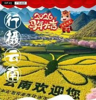 【2026春节】罗平油菜花海、抚仙湖、建水古城、碧色寨、普者黑、元阳梯田7天摄影之旅