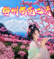 春节：广东最美梅州茶园樱花、灵光寺祈愿、中国客家博物馆、千佛塔、梅州老街凌风西路、油罗街美食二天