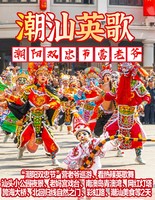 （28-29仅此一期）潮汕游神天花板---潮阳双忠节”营老爷、看热辣英歌舞、汕头小公园夜景、老妈宫戏台、南澳岛青澳湾、网