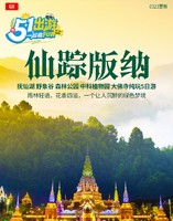 2026年五一假期：抚仙湖 野象谷 森林公园 中科植物园 大佛寺 三动纯玩5日游