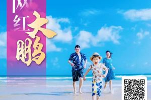 （每周末及假期）杨梅坑环海绿道、鹿嘴山庄人鱼洞无敌海景、大澳湾沙滩海泳戏水、趣味皮划艇、落日夕阳一天