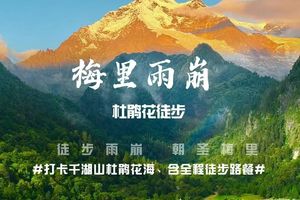 徒个中国·云南｜梅里雨崩高山杜鹃徒步