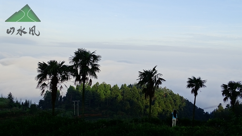 201808露营南湖顶 (5)