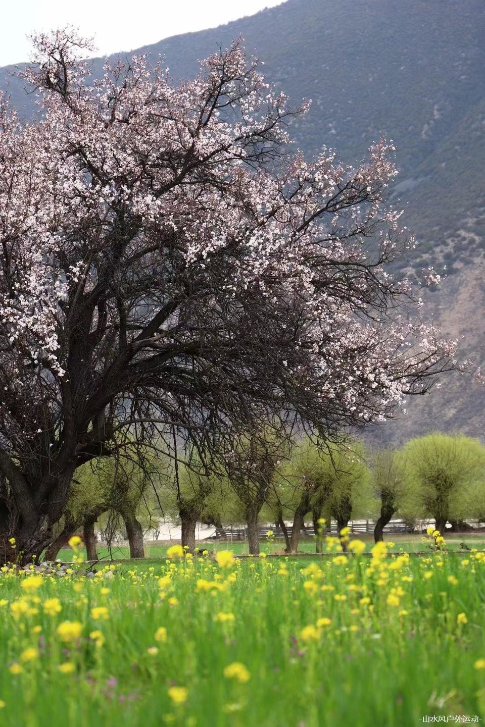 微信图片_20240909165827