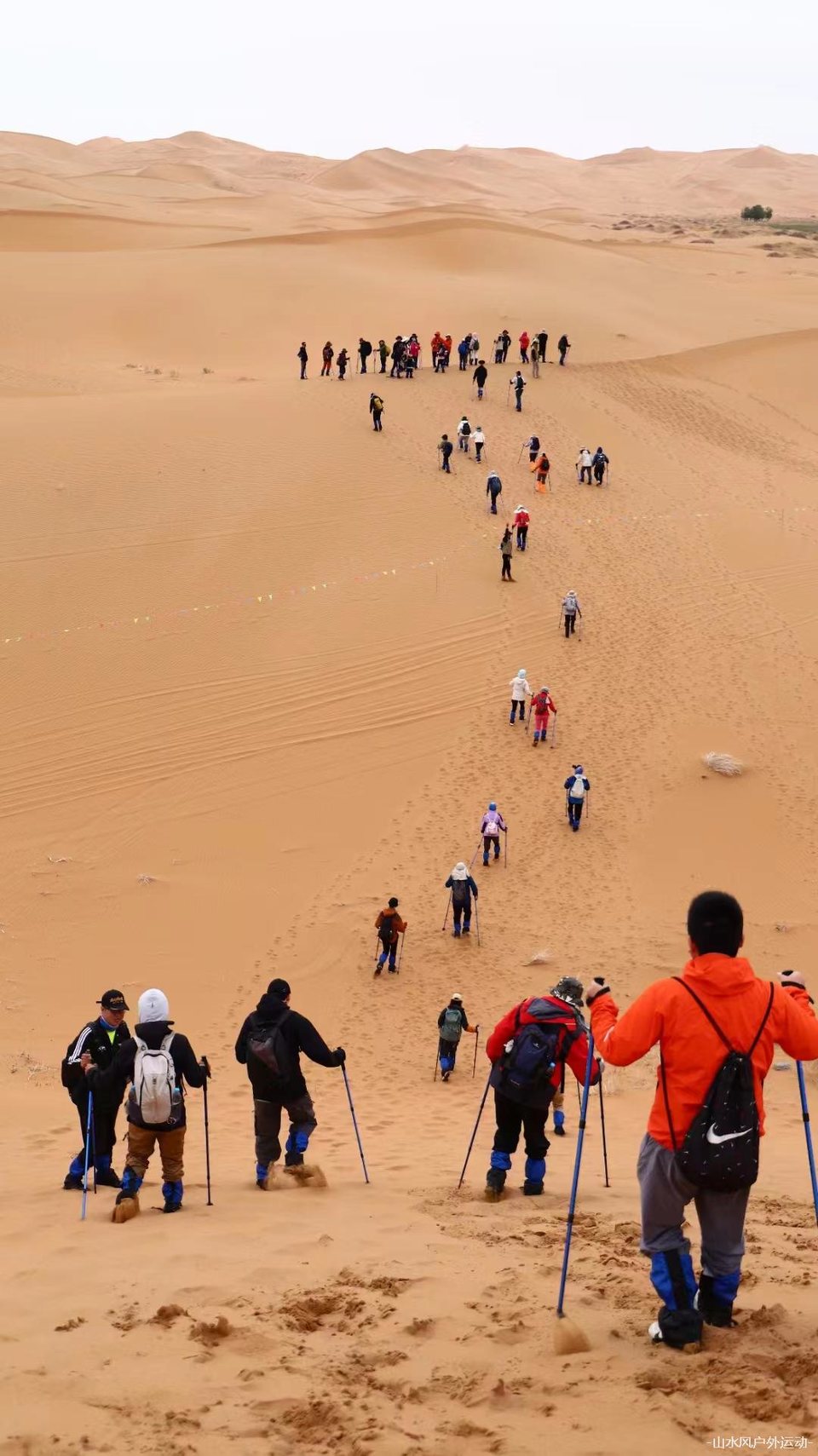 微信图片_20240909165740