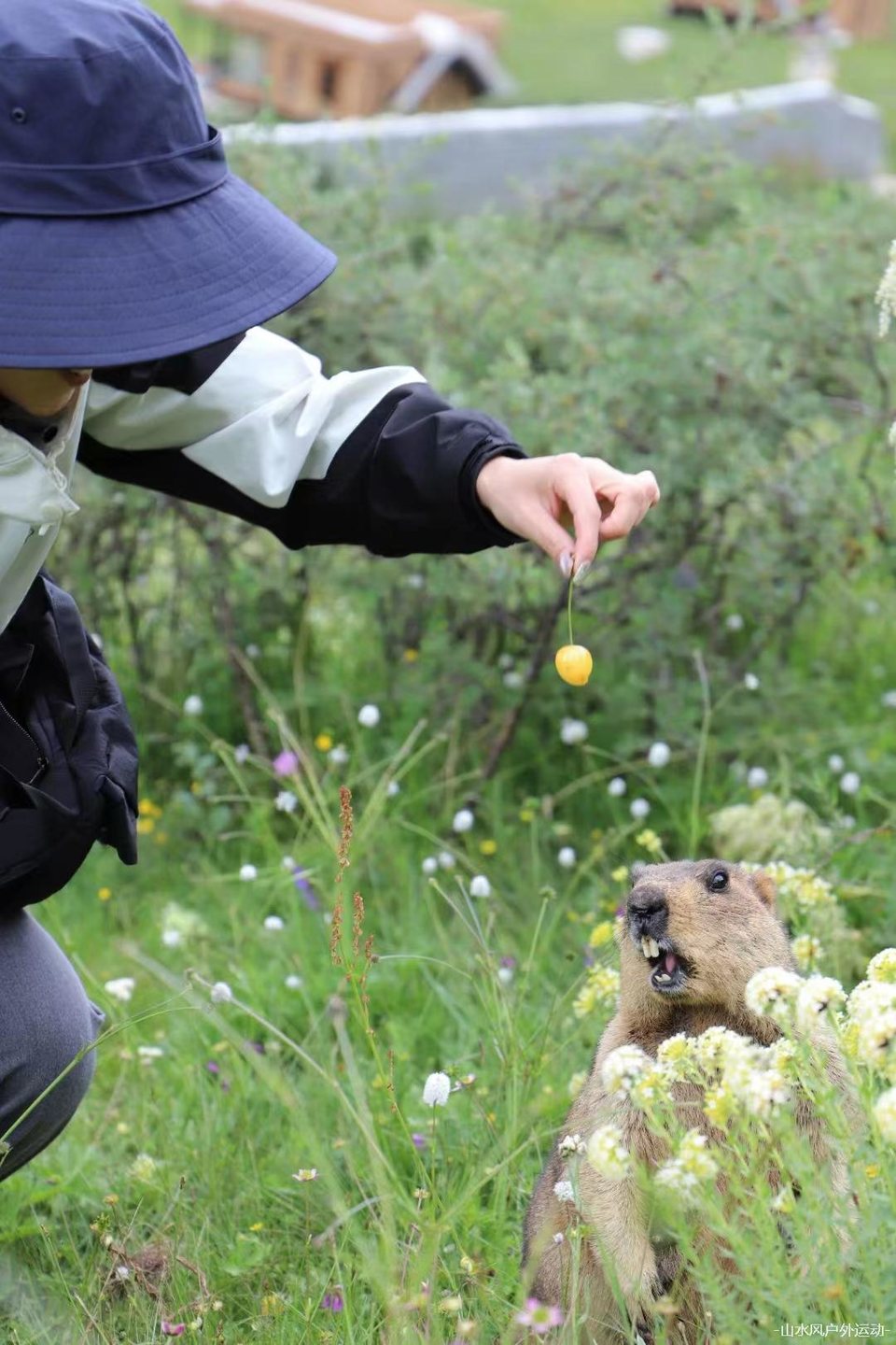 川藏线自驾游 (2)