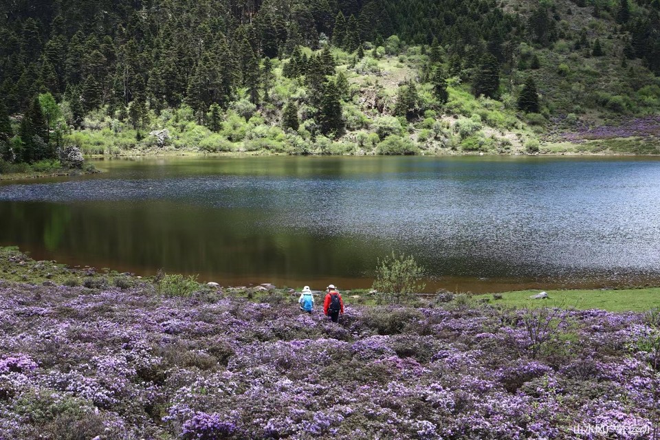 微信图片_20240909165822