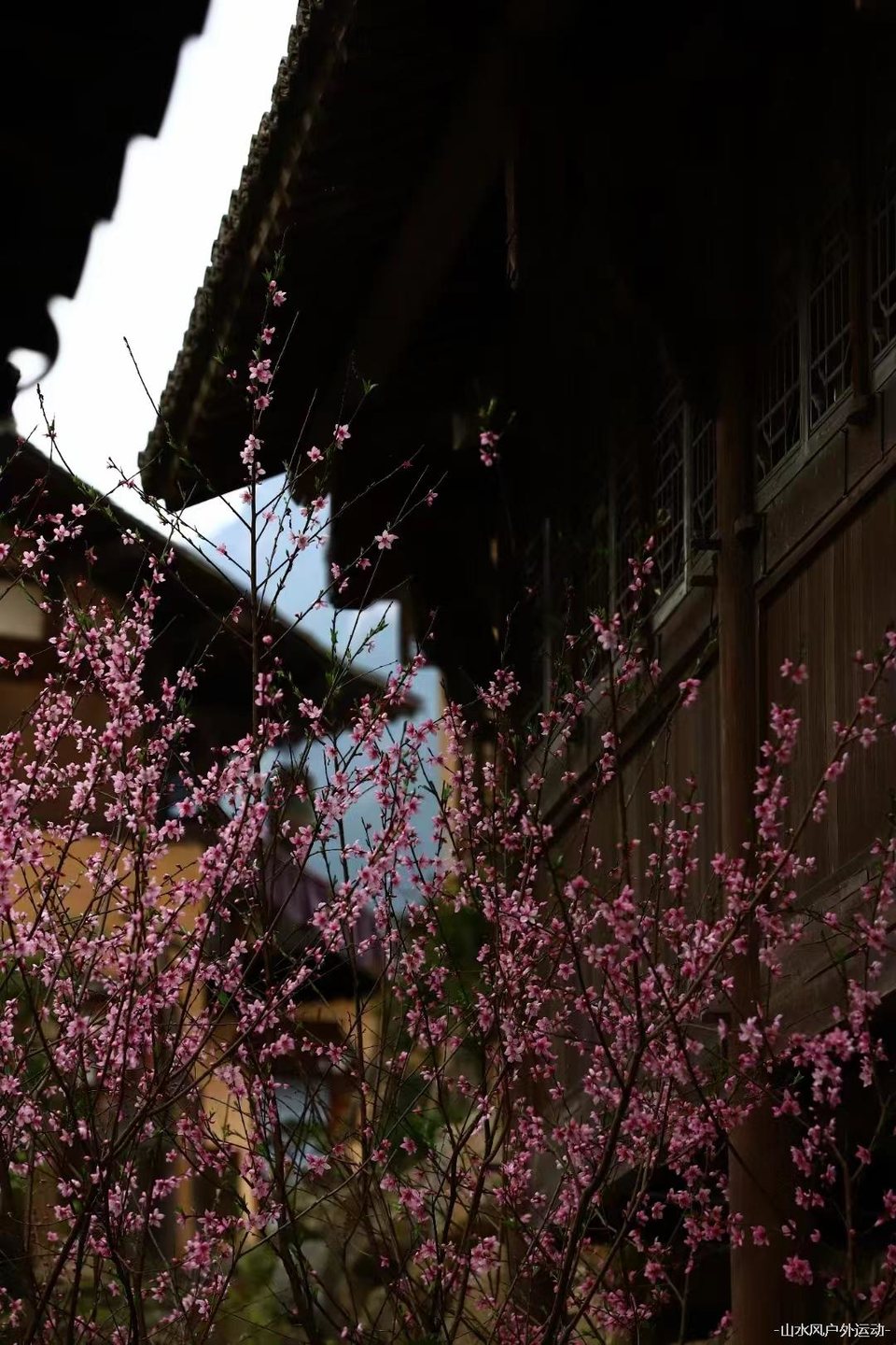 微信图片_20240909212910