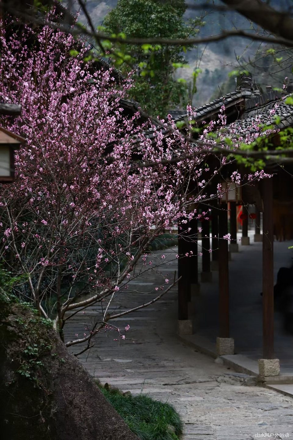 微信图片_20240909212912