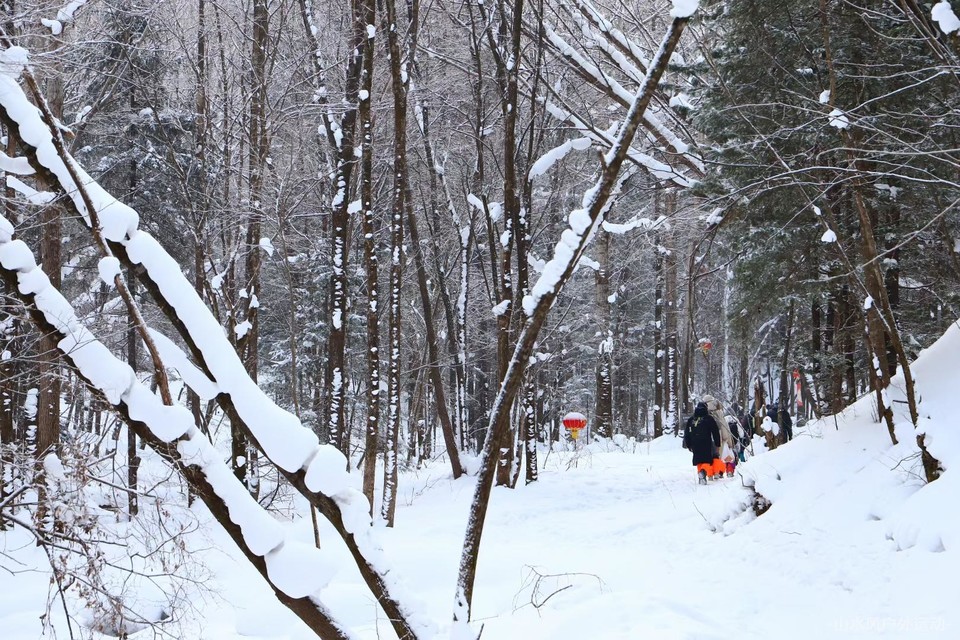 微信图片_20240909212746