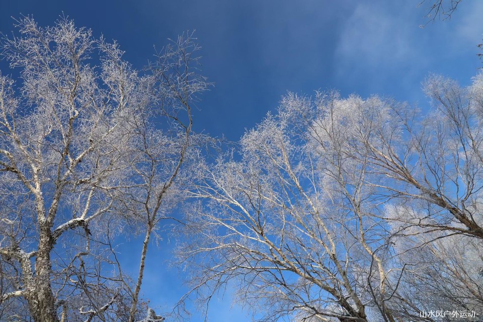 微信图片_20240909212747