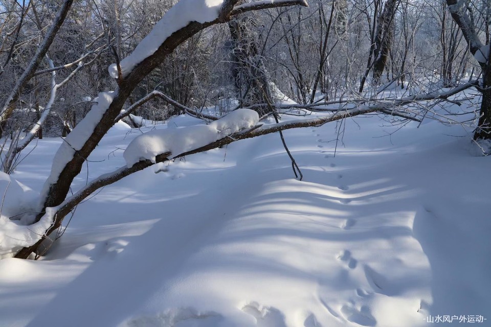微信图片_20240909212749