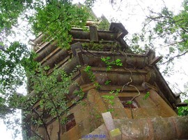 石竹环湖古道 (2)