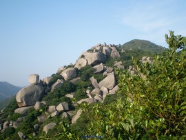 庄上峡谷九涧山 (10)