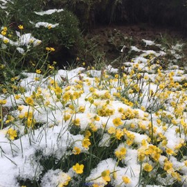 mmexport1531795245778