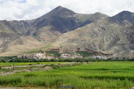 mmexport1532669217296