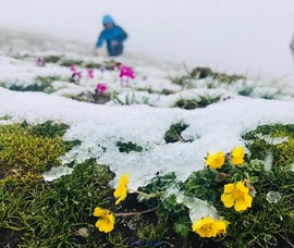 mmexport1531796038722