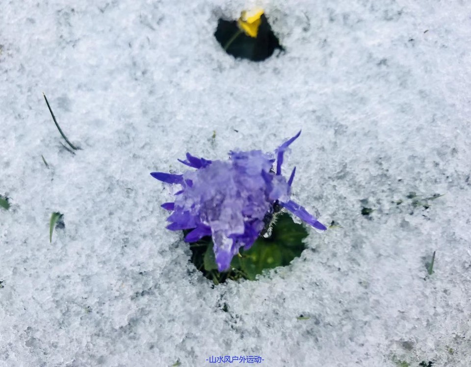 mmexport1531796025077