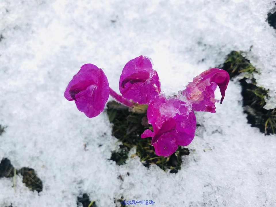 mmexport1531796027888