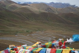 mmexport1532604819163