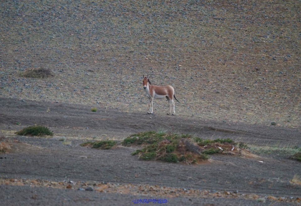 mmexport1532351287951