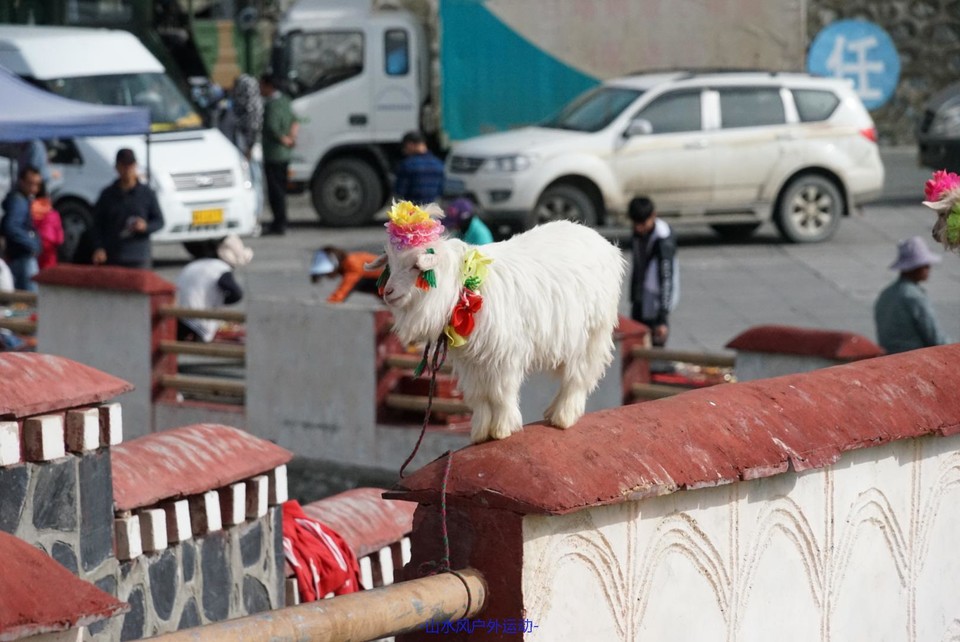 mmexport1532706976363