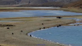 mmexport1532249077687