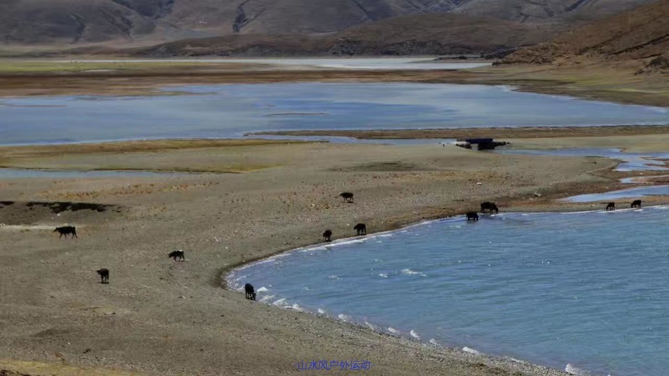 mmexport1532249077687