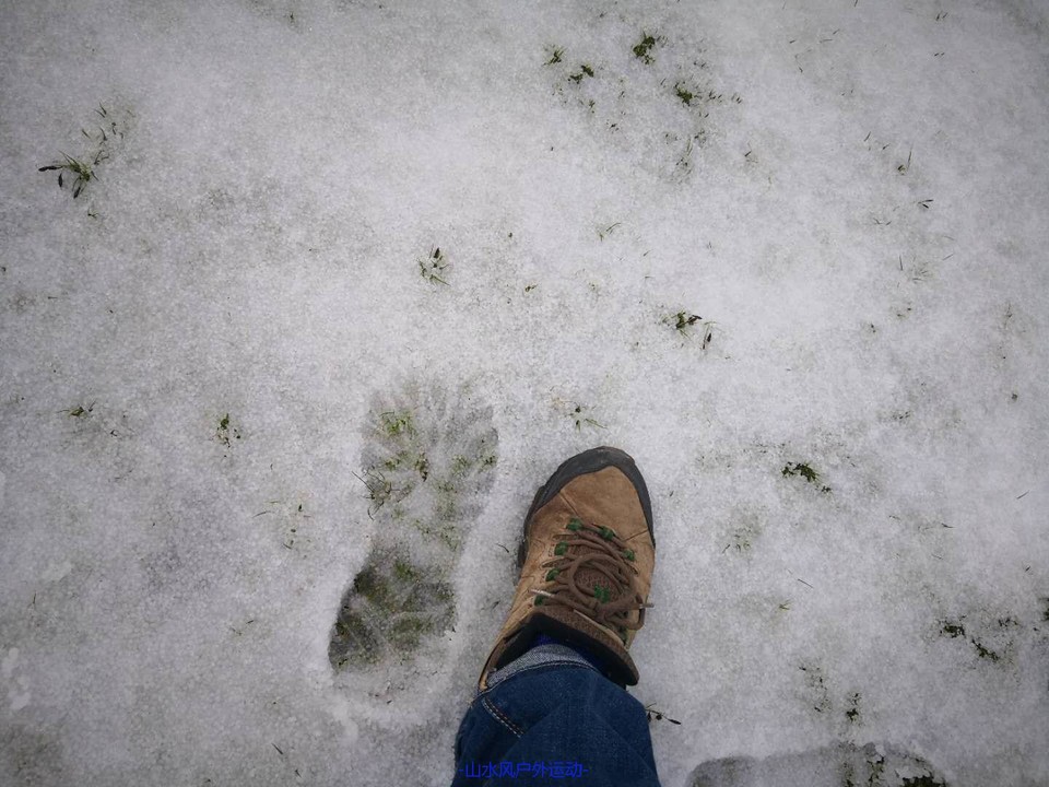 mmexport1532250547943