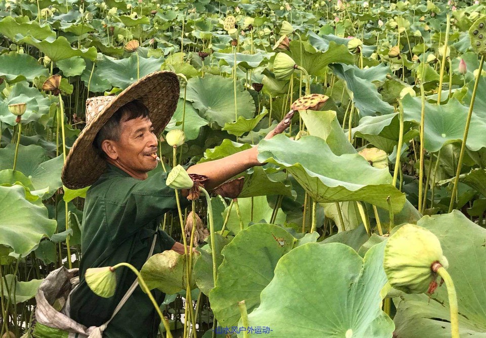 mmexport1530974382176