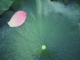 mmexport1531015842664