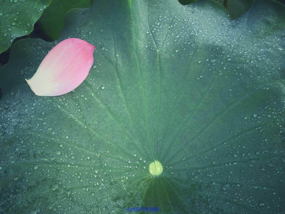 mmexport1531015842664