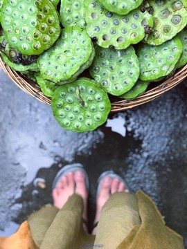 mmexport1530974354656