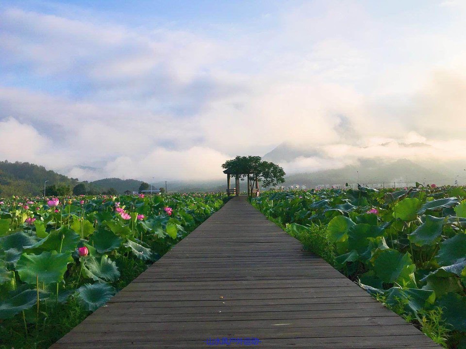 mmexport1531016330830