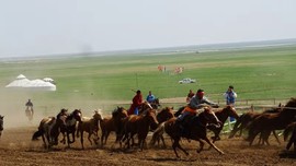 2019.07.05呼伦贝尔之陈巴尔虎马之舞表演