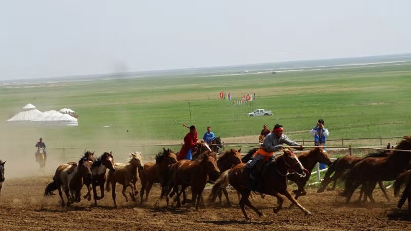 2019.07.05呼伦贝尔之陈巴尔虎马之舞表演