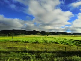 2019.07.27青海湖4