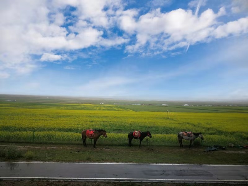 2019.07.27青海湖1