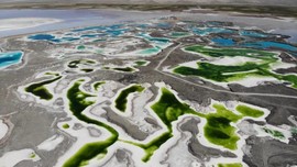 2019.07.27青海湖22