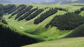 2019.07.27青海湖32