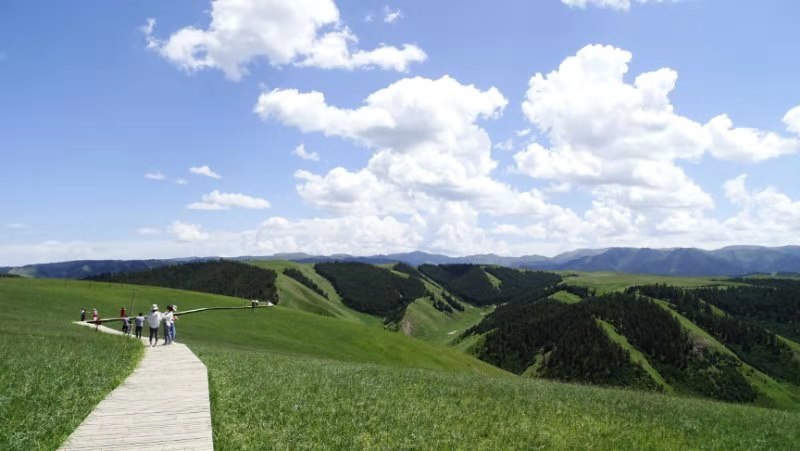 2019.07.27青海湖33