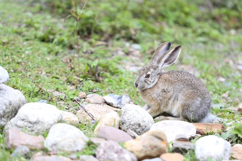 2019.经典西藏行10