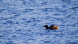 2019.经典西藏行31