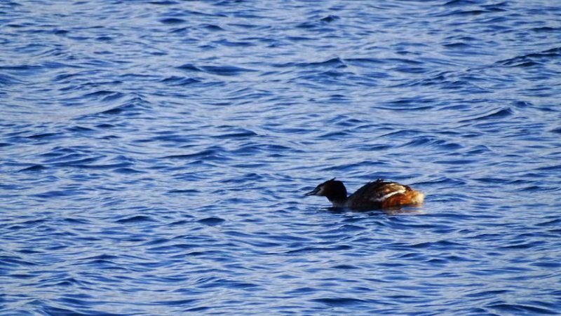 2019.经典西藏行31