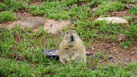 2019.经典西藏行42