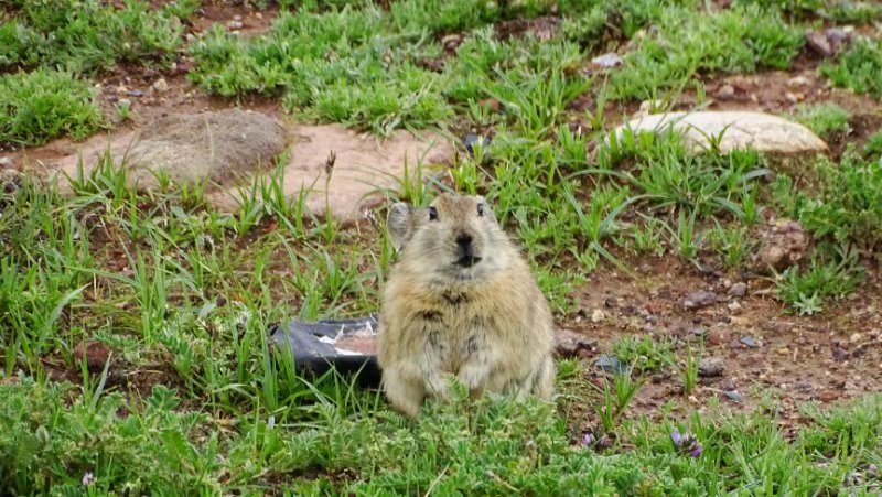 2019.经典西藏行42