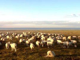 2019.经典西藏行60