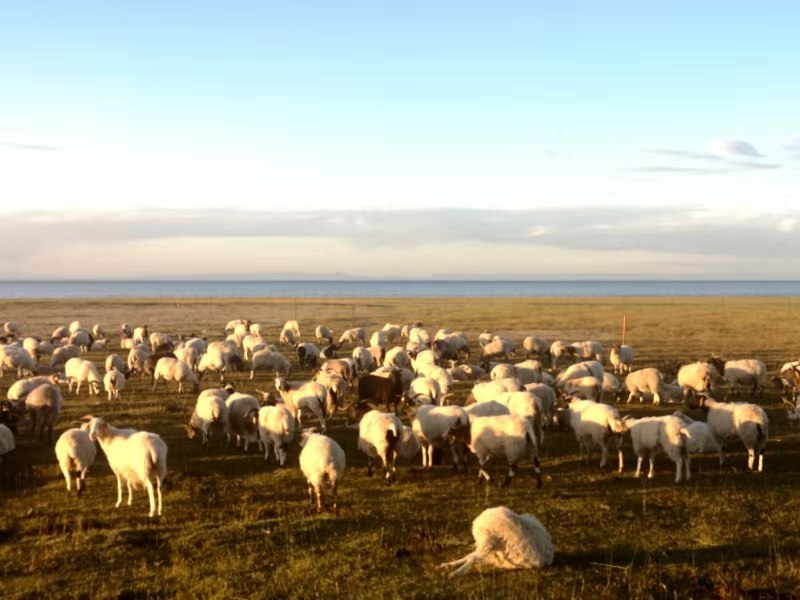 2019.经典西藏行60