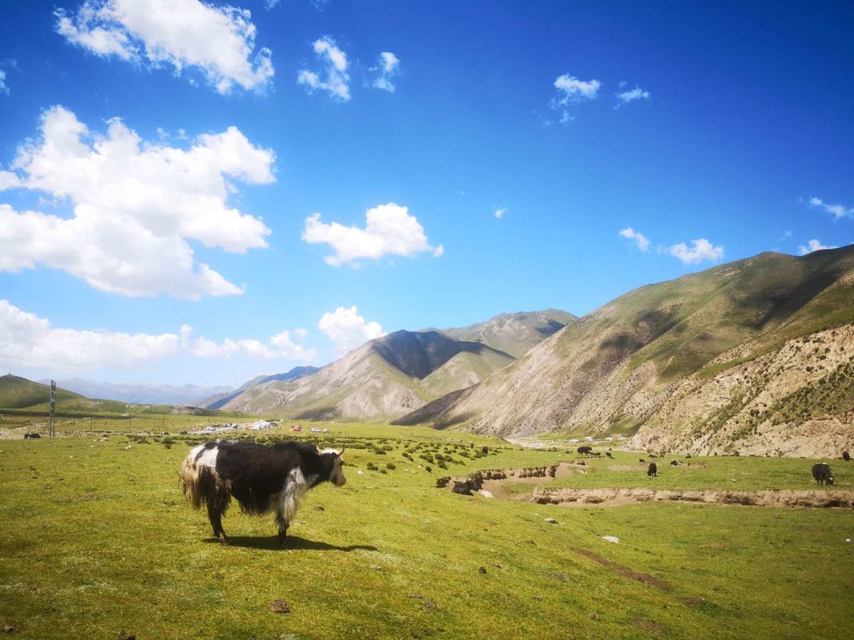 2019.经典西藏行61