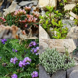 2019.经典西藏行70